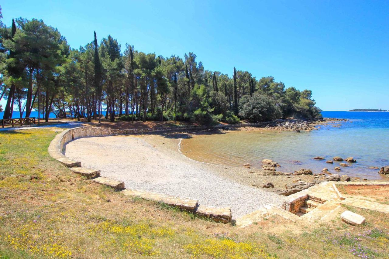 Vila Una With Private Pool Near Rovinj - Open 2022 Rovinjsko Selo Extérieur photo