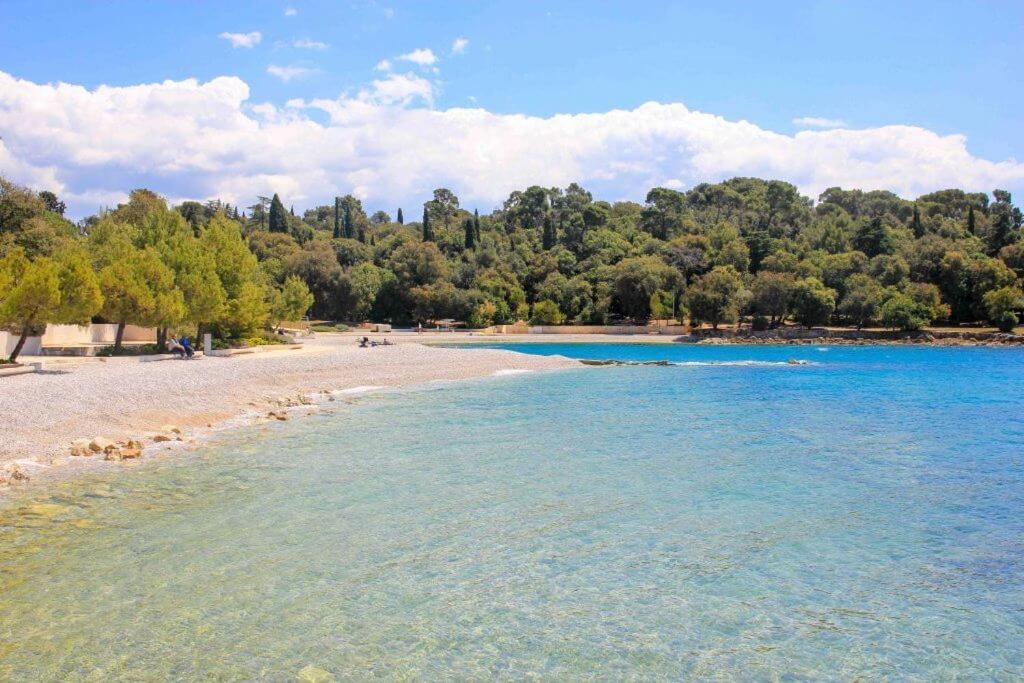 Vila Una With Private Pool Near Rovinj - Open 2022 Rovinjsko Selo Extérieur photo